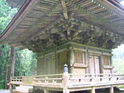 DSCN6516