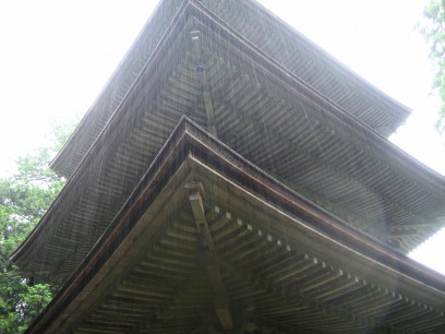 DSCN6517
