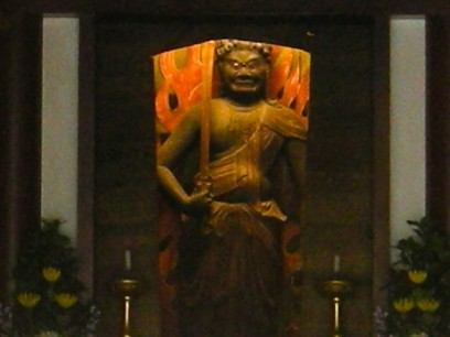 RSCN6530